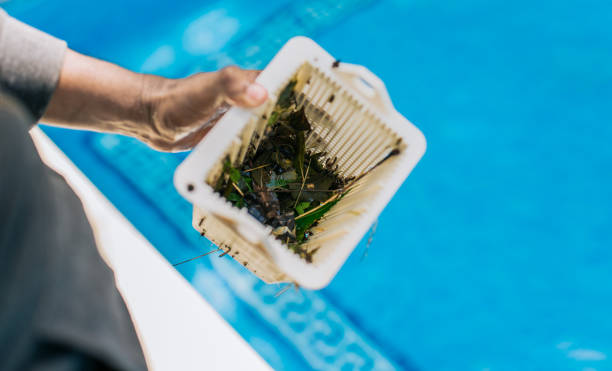 Best Trash Removal Near Me  in Orchard Mesa, CO